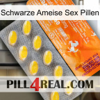 Black Ant Sex Pills new05
